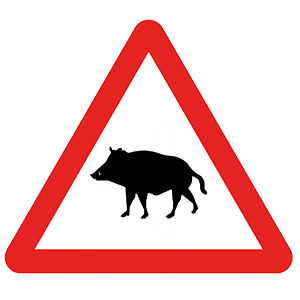 P-24a triangular warning sign showing a wild boar